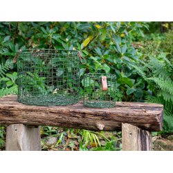 Olivengrn Rund Trdkurv (st m. 4 stk. / 4 str.)