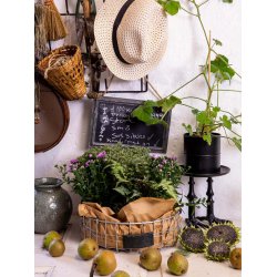 Rund Trdbakke (st m. 2 stk. / 2 str.)