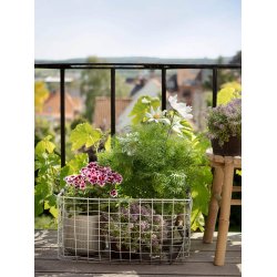 Maxi Firkantet Trdkurv