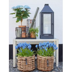 Sort Firkantet Trdkurv/Trdbakke (st m. 7 stk. / 5 str.)