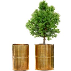 Messing Vase (st m. 2 stk. / 2 str.)