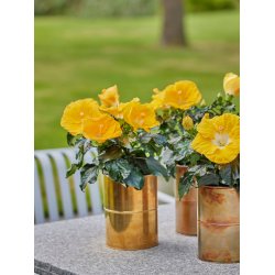 Messing Vase (st m. 2 stk. / 2 str.)