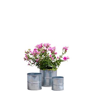 Galv. Urtepotte (st m. 3 stk. / 3 str.)