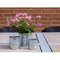 Galv. Urtepotte (st m. 3 stk. / 3 str.)