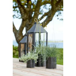 Sort Urtepotte (st m. 3 stk. / 3 str.)