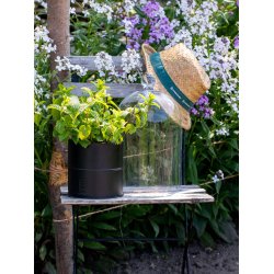 Sort Urtepotte (st m. 3 stk. / 3 str.)