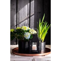 Sort Urtepotte (st m. 3 stk. / 3 str.)