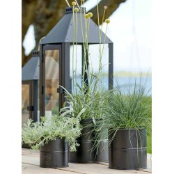 Sort Urtepotte (st m. 3 stk. / 3 str.)