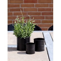 Sort Urtepotte (st m. 3 stk. / 3 str.)