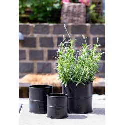 Sort Urtepotte (st m. 3 stk. / 3 str.)