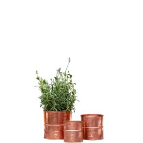 Kobber Urtepotte (st m. 3 stk. / 3 str.)
