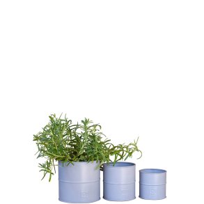 Gr Urtepotte (st m. 3 stk. / 3 str.)