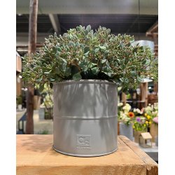 Gr Urtepotte (st m. 3 stk. / 3 str.)