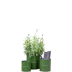 Olivengrn Urtepotte (st m. 3 stk. / 3 str.)