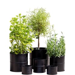 Sort Urtepotte (st m. 6 stk. / 5 str.)