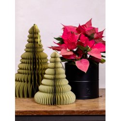 Sort Urtepotte (st m. 6 stk. / 5 str.)