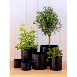 Sort Urtepotte (st m. 6 stk. / 5 str.)