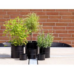 Sort Urtepotte (st m. 6 stk. / 5 str.)