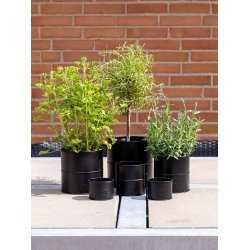 Sort Urtepotte (st m. 6 stk. / 5 str.)