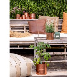 Kobber Urtepotte (st m. 6 stk. / 5 str.)