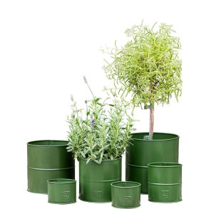 Olivengrn Urtepotte (st m. 6 stk. / 5 str.)