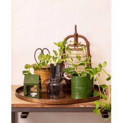 Olivengrn Urtepotte (st m. 6 stk. / 5 str.)