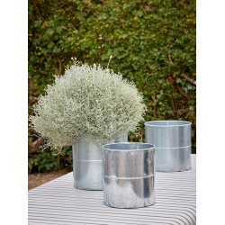 Galv. Blomsterspand (st m. 3 stk. / 3 str.)