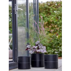 Sort Blomsterspand (st m. 3 stk. / 3 str.)