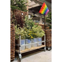 Galv. Blomsterspand (st m. 2 stk. / 2 str.)