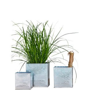 Galv. Firkantet Urtepotte (st m. 3 stk. / 3 str.)