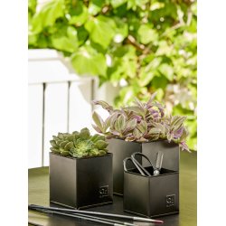 Sort Firkantet Urtepotte (st m. 3 stk. / 3 str.)