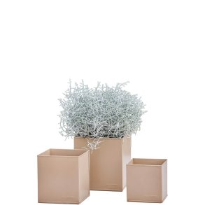 Hasselnd Firkantet Urtepotte (st m. 3 stk. / 3 str.)