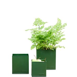 Olivengrn Firkantet Urtepotte (st m. 3 stk. / 3 str.)