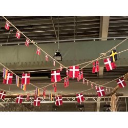 Mini Flag Wire Norge (8 flag)